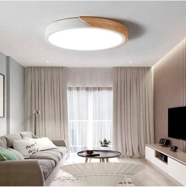 Ceiling Light