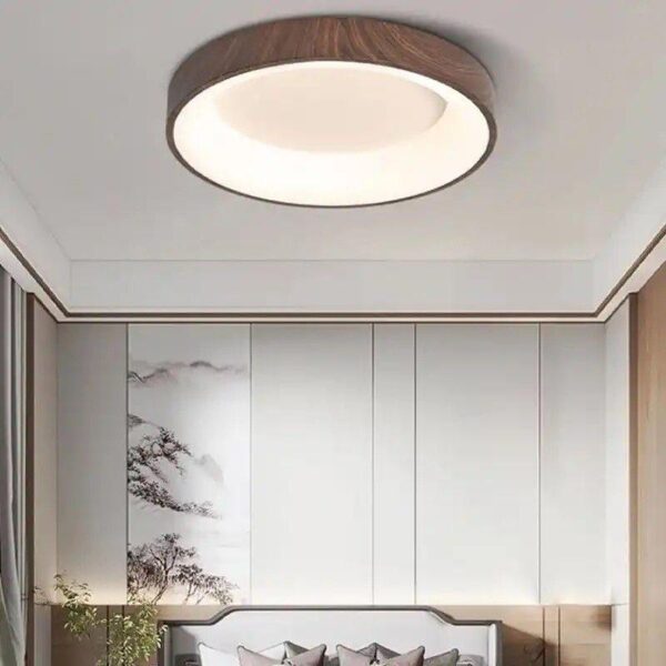Ceiling Light