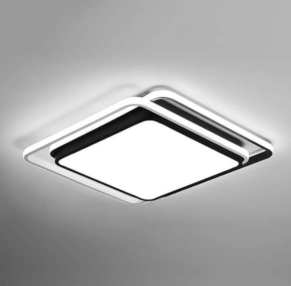 Ceiling Light