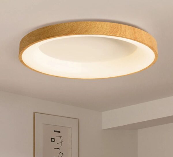 Ceiling Light