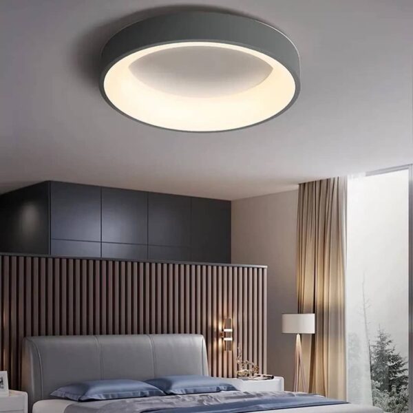 Ceiling Light